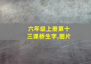 六年级上册第十三课桥生字,图片