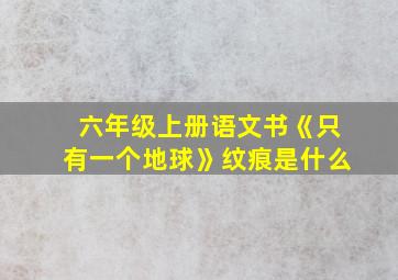 六年级上册语文书《只有一个地球》纹痕是什么