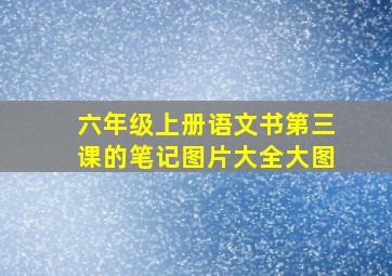 六年级上册语文书第三课的笔记图片大全大图