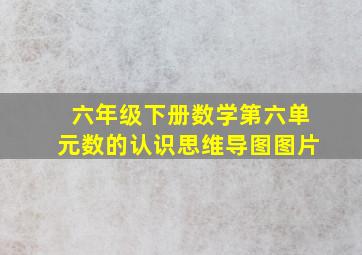 六年级下册数学第六单元数的认识思维导图图片