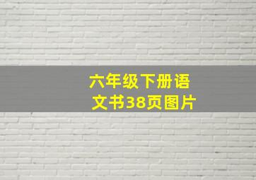 六年级下册语文书38页图片