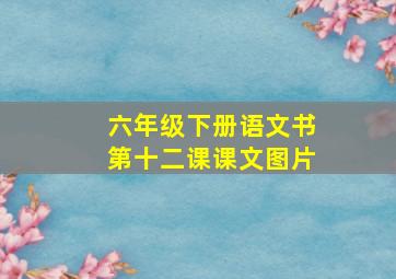 六年级下册语文书第十二课课文图片