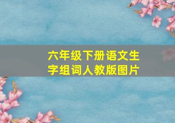 六年级下册语文生字组词人教版图片