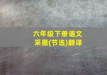 六年级下册语文采薇(节选)翻译