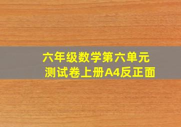 六年级数学第六单元测试卷上册A4反正面