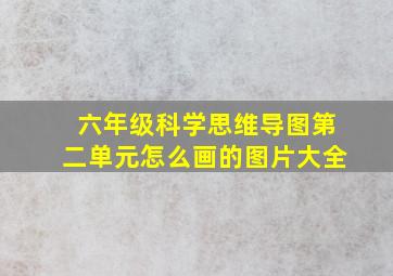 六年级科学思维导图第二单元怎么画的图片大全