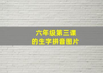 六年级第三课的生字拼音图片