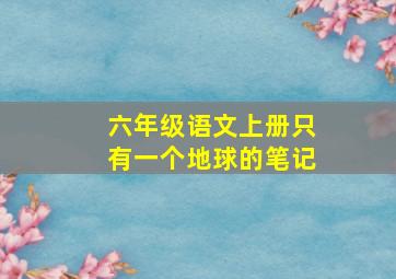 六年级语文上册只有一个地球的笔记