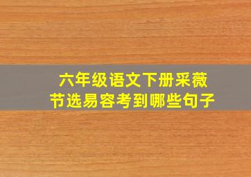 六年级语文下册采薇节选易容考到哪些句子