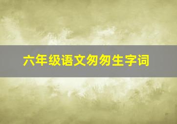 六年级语文匆匆生字词