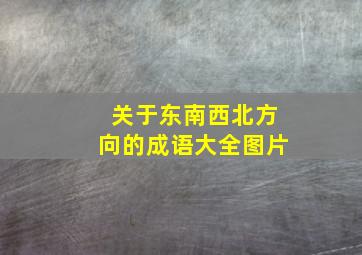 关于东南西北方向的成语大全图片