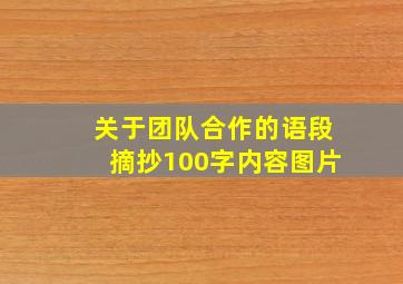 关于团队合作的语段摘抄100字内容图片