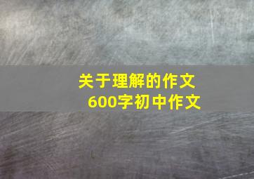 关于理解的作文600字初中作文