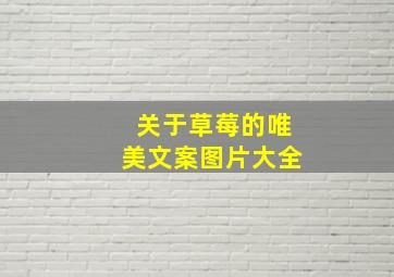 关于草莓的唯美文案图片大全