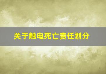 关于触电死亡责任划分