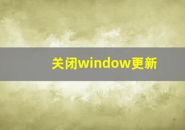 关闭window更新