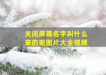 关闭屏幕名字叫什么来的呢图片大全视频