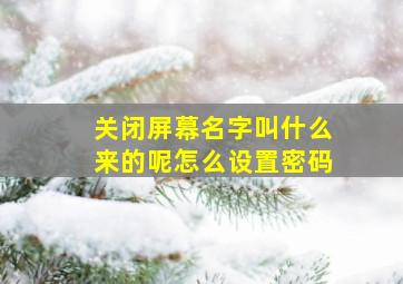 关闭屏幕名字叫什么来的呢怎么设置密码