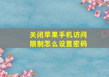 关闭苹果手机访问限制怎么设置密码