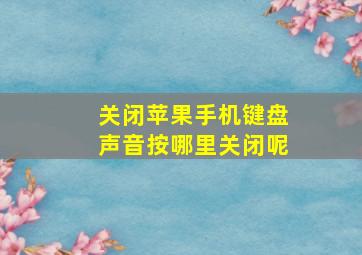 关闭苹果手机键盘声音按哪里关闭呢