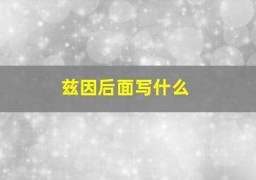 兹因后面写什么