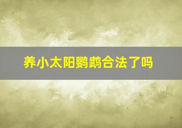 养小太阳鹦鹉合法了吗