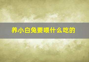 养小白兔要喂什么吃的