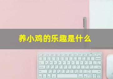 养小鸡的乐趣是什么