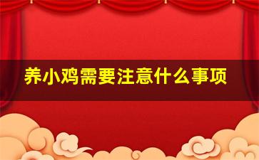 养小鸡需要注意什么事项