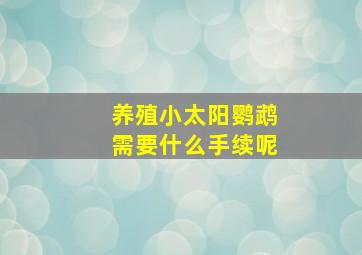 养殖小太阳鹦鹉需要什么手续呢