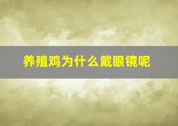 养殖鸡为什么戴眼镜呢