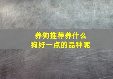 养狗推荐养什么狗好一点的品种呢