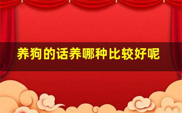 养狗的话养哪种比较好呢