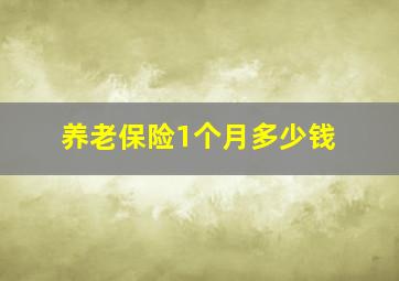 养老保险1个月多少钱