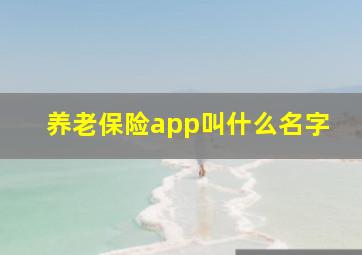 养老保险app叫什么名字