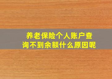 养老保险个人账户查询不到余额什么原因呢