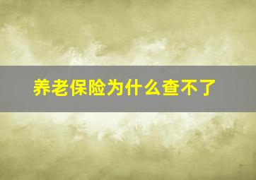 养老保险为什么查不了