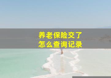 养老保险交了怎么查询记录