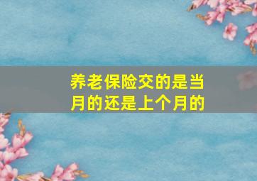 养老保险交的是当月的还是上个月的