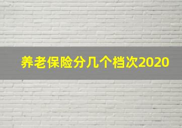 养老保险分几个档次2020