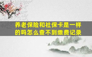 养老保险和社保卡是一样的吗怎么查不到缴费记录