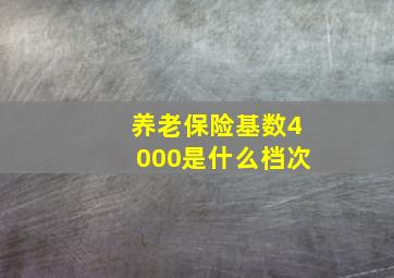 养老保险基数4000是什么档次