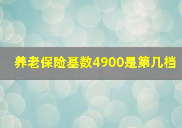 养老保险基数4900是第几档