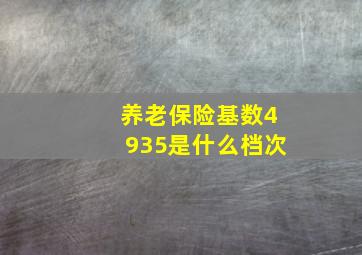 养老保险基数4935是什么档次