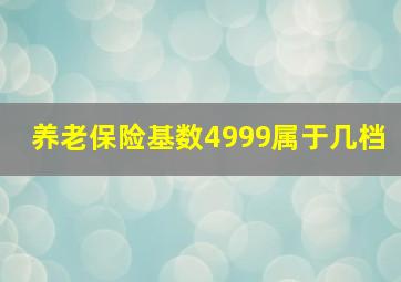 养老保险基数4999属于几档