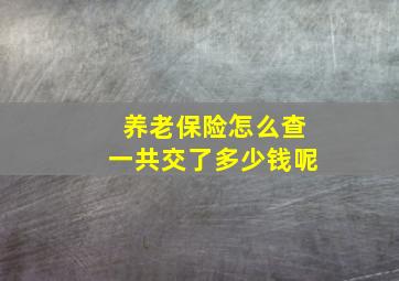 养老保险怎么查一共交了多少钱呢