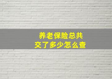 养老保险总共交了多少怎么查