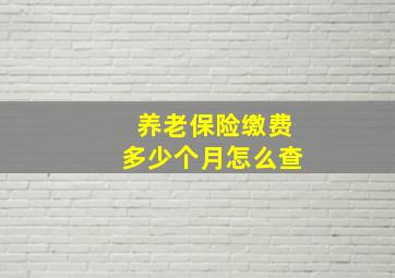 养老保险缴费多少个月怎么查