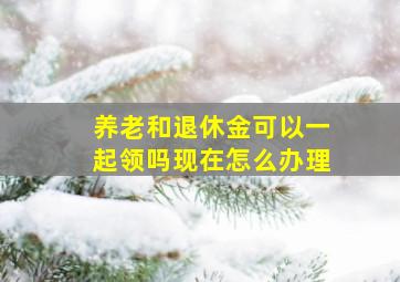 养老和退休金可以一起领吗现在怎么办理