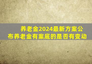 养老金2024最新方案公布养老金有案底的是否有变动